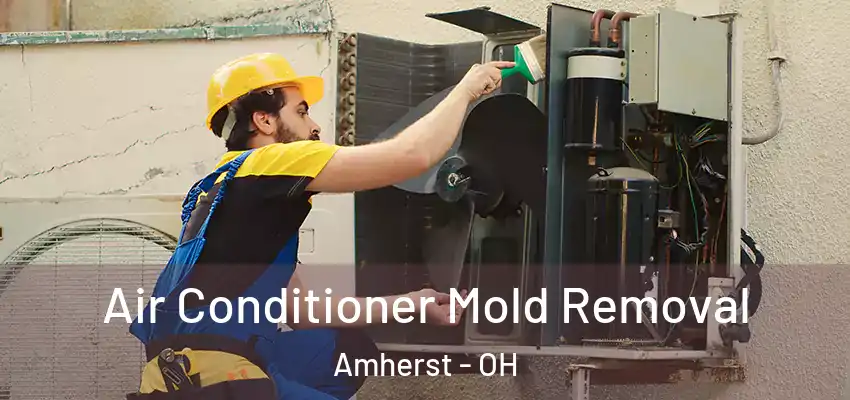 Air Conditioner Mold Removal Amherst - OH