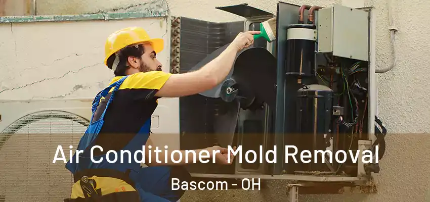 Air Conditioner Mold Removal Bascom - OH