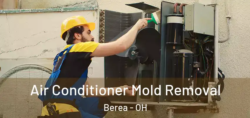 Air Conditioner Mold Removal Berea - OH