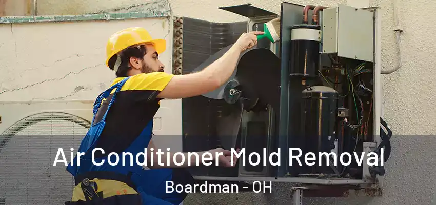 Air Conditioner Mold Removal Boardman - OH