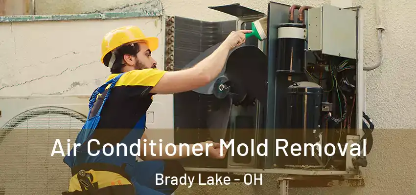 Air Conditioner Mold Removal Brady Lake - OH