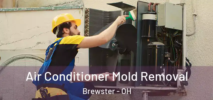 Air Conditioner Mold Removal Brewster - OH
