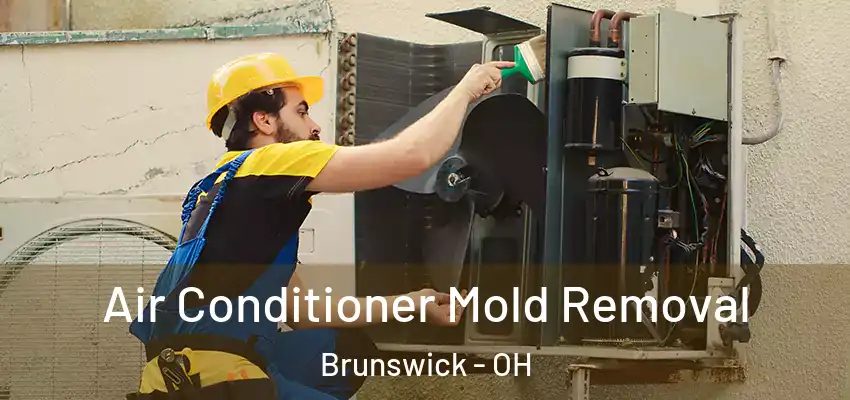 Air Conditioner Mold Removal Brunswick - OH