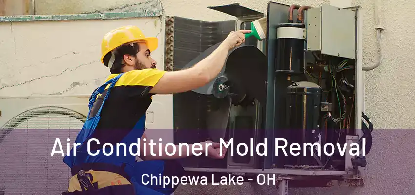 Air Conditioner Mold Removal Chippewa Lake - OH