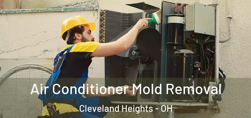  Air Conditioner Mold Removal Cleveland Heights - OH