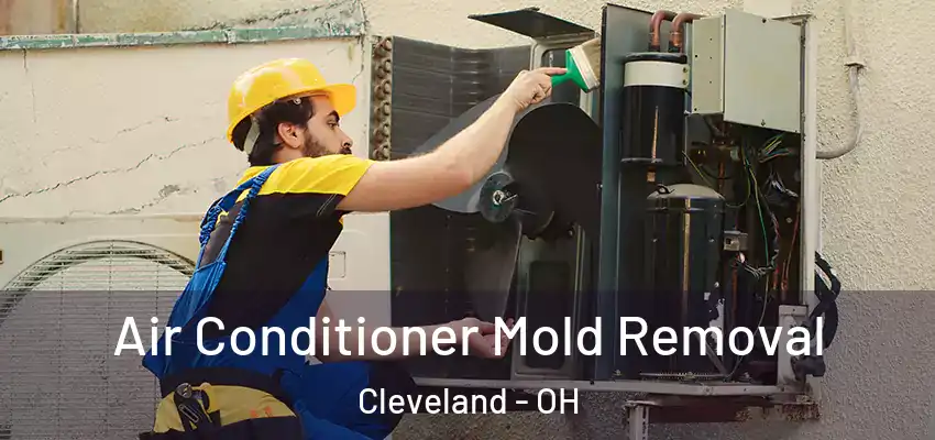 Air Conditioner Mold Removal Cleveland - OH