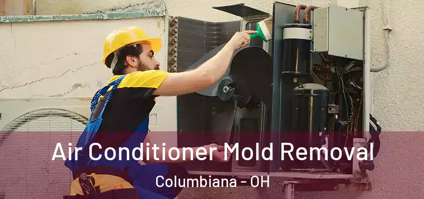  Air Conditioner Mold Removal Columbiana - OH