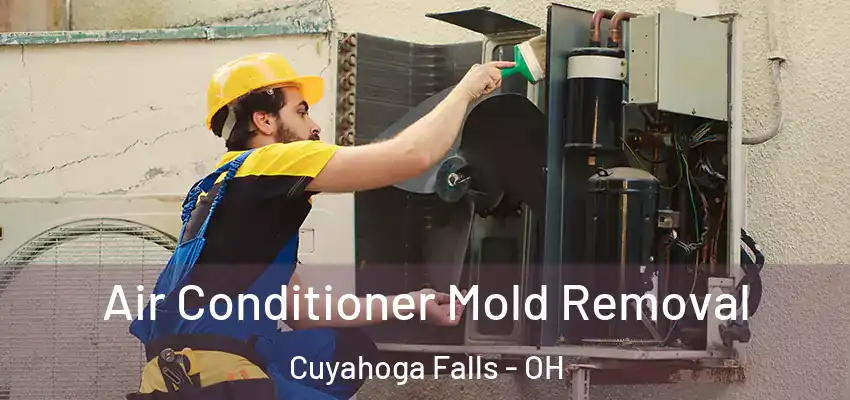  Air Conditioner Mold Removal Cuyahoga Falls - OH