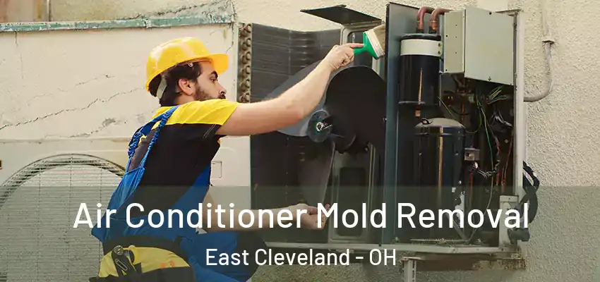  Air Conditioner Mold Removal East Cleveland - OH