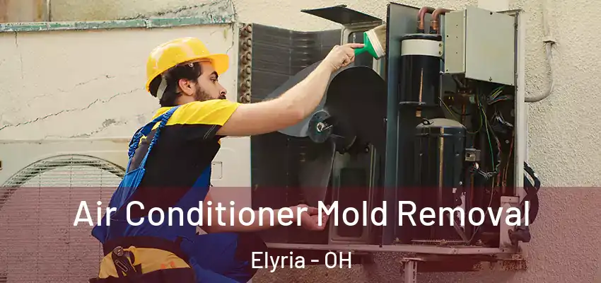  Air Conditioner Mold Removal Elyria - OH