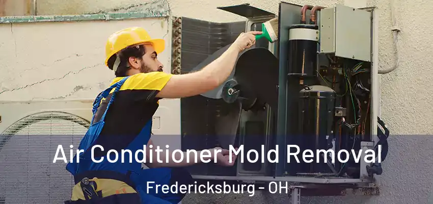  Air Conditioner Mold Removal Fredericksburg - OH