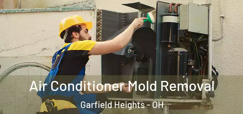  Air Conditioner Mold Removal Garfield Heights - OH