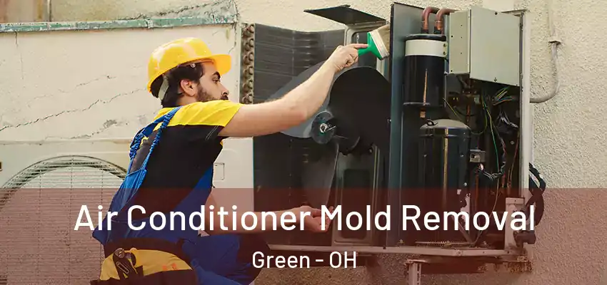  Air Conditioner Mold Removal Green - OH
