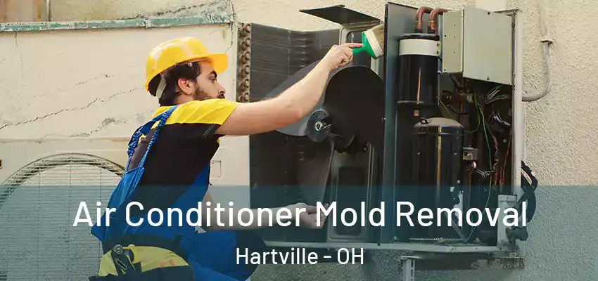  Air Conditioner Mold Removal Hartville - OH