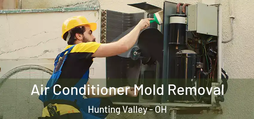  Air Conditioner Mold Removal Hunting Valley - OH