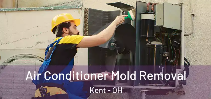  Air Conditioner Mold Removal Kent - OH