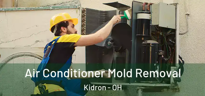  Air Conditioner Mold Removal Kidron - OH