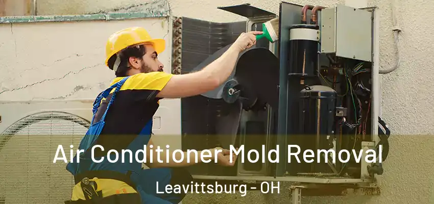  Air Conditioner Mold Removal Leavittsburg - OH