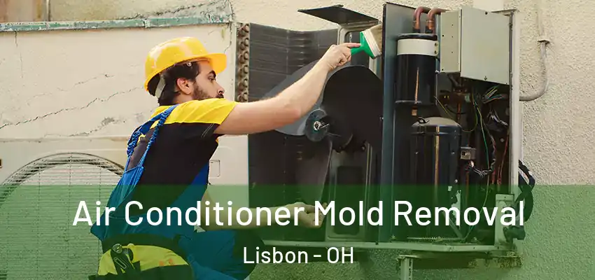  Air Conditioner Mold Removal Lisbon - OH