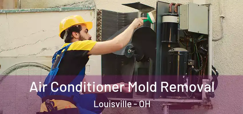  Air Conditioner Mold Removal Louisville - OH