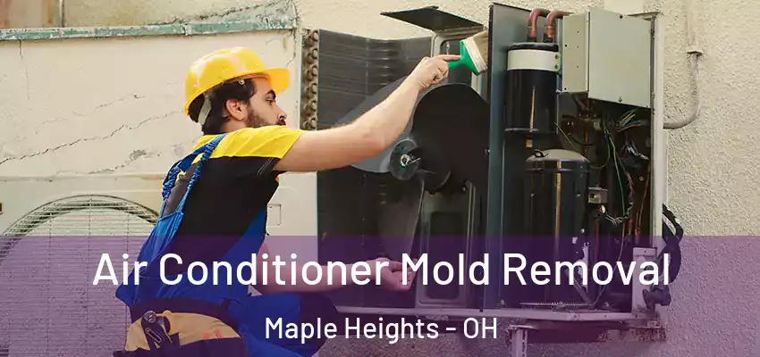  Air Conditioner Mold Removal Maple Heights - OH
