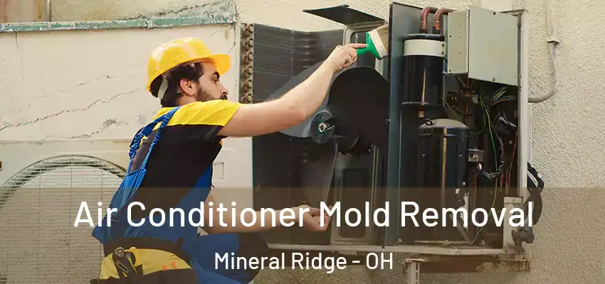  Air Conditioner Mold Removal Mineral Ridge - OH