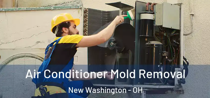 Air Conditioner Mold Removal New Washington - OH
