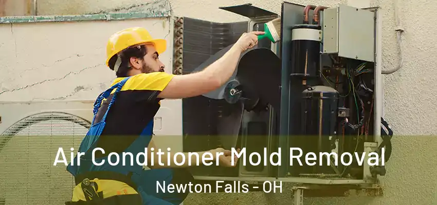 Air Conditioner Mold Removal Newton Falls - OH