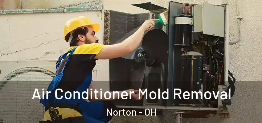  Air Conditioner Mold Removal Norton - OH