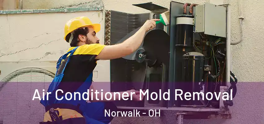  Air Conditioner Mold Removal Norwalk - OH