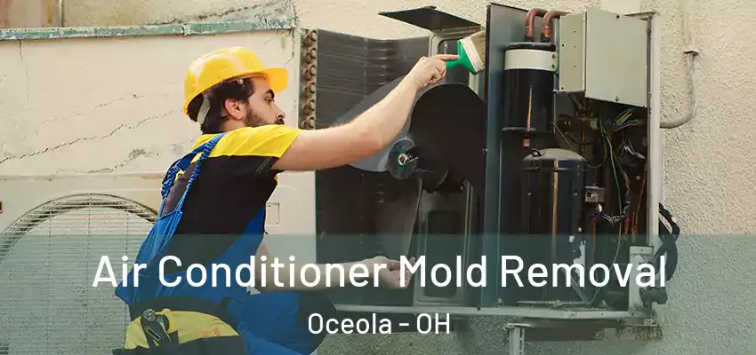 Air Conditioner Mold Removal Oceola - OH