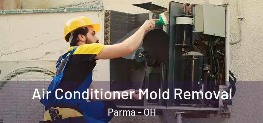  Air Conditioner Mold Removal Parma - OH