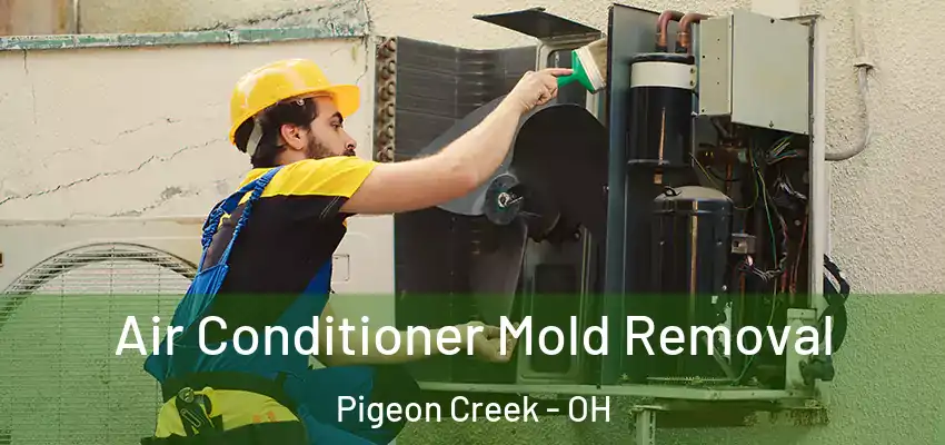  Air Conditioner Mold Removal Pigeon Creek - OH
