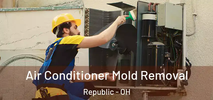 Air Conditioner Mold Removal Republic - OH