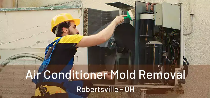  Air Conditioner Mold Removal Robertsville - OH