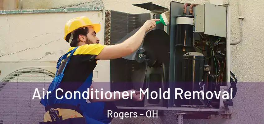  Air Conditioner Mold Removal Rogers - OH
