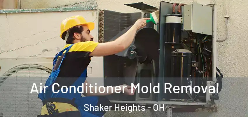 Air Conditioner Mold Removal Shaker Heights - OH
