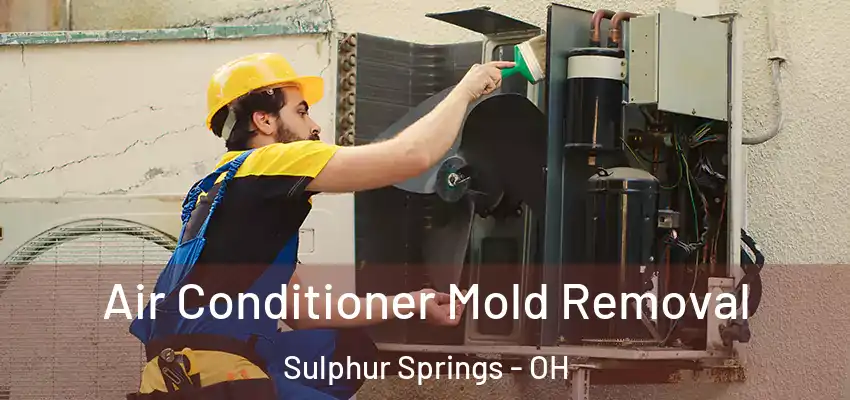  Air Conditioner Mold Removal Sulphur Springs - OH
