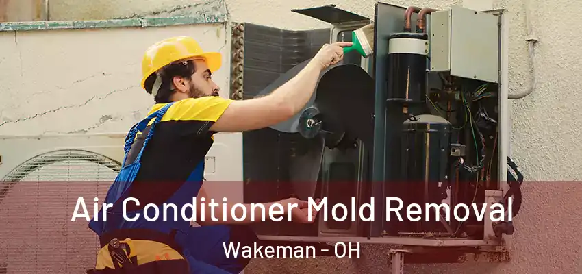  Air Conditioner Mold Removal Wakeman - OH