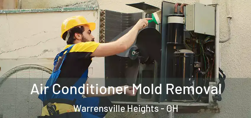  Air Conditioner Mold Removal Warrensville Heights - OH