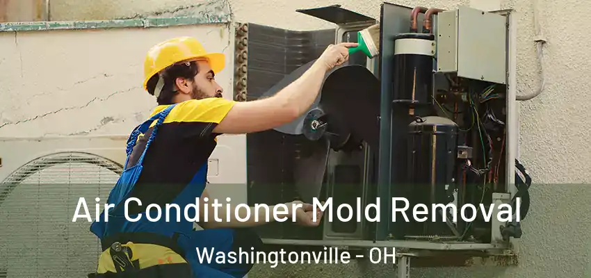  Air Conditioner Mold Removal Washingtonville - OH