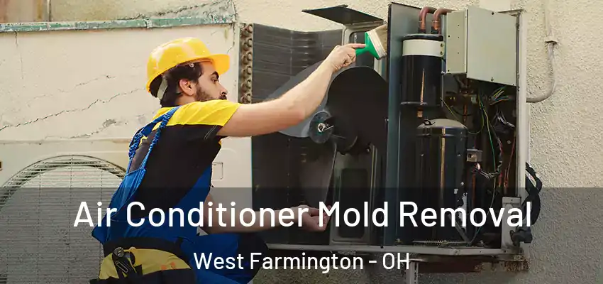  Air Conditioner Mold Removal West Farmington - OH