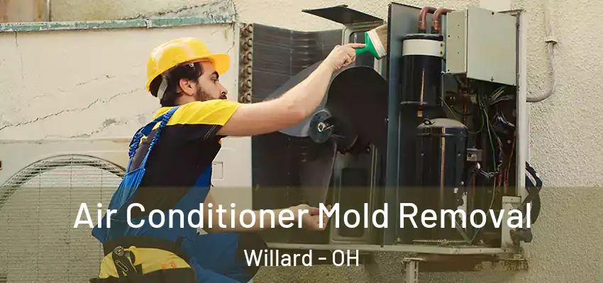  Air Conditioner Mold Removal Willard - OH