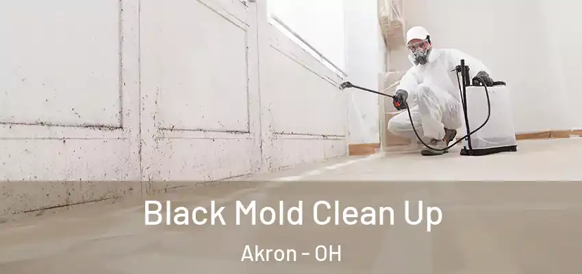 Black Mold Clean Up Akron - OH
