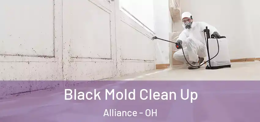 Black Mold Clean Up Alliance - OH