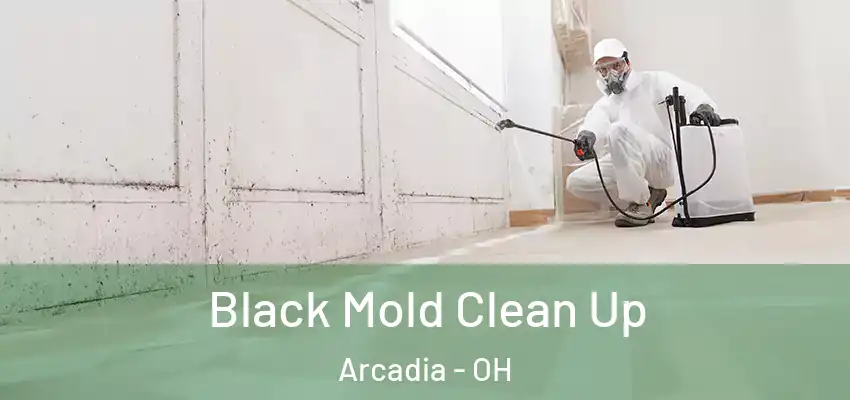 Black Mold Clean Up Arcadia - OH