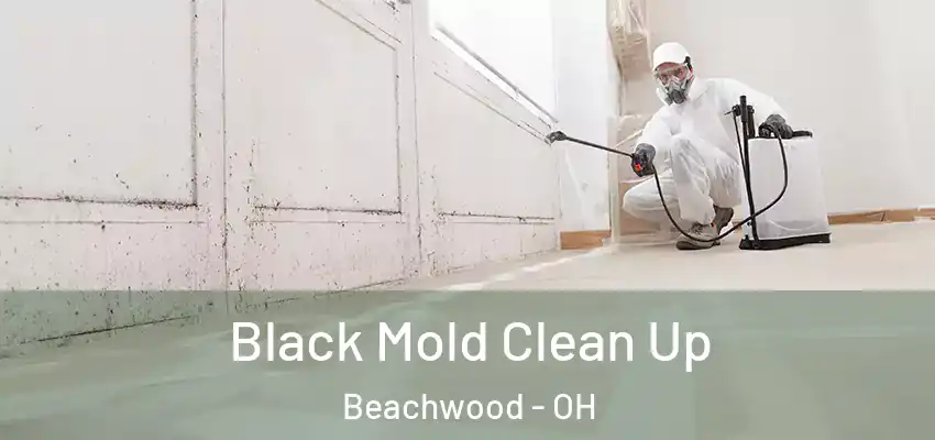  Black Mold Clean Up Beachwood - OH