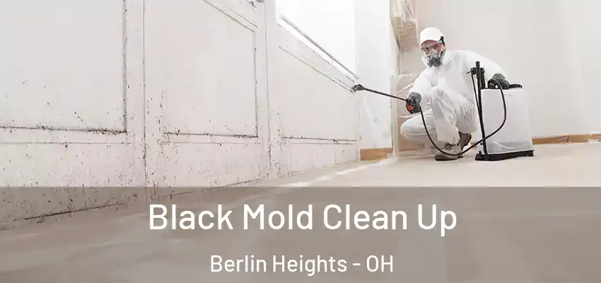  Black Mold Clean Up Berlin Heights - OH
