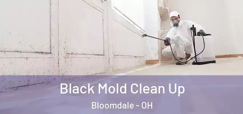 Black Mold Clean Up Bloomdale - OH