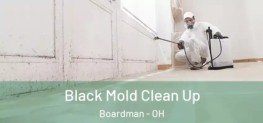 Black Mold Clean Up Boardman - OH